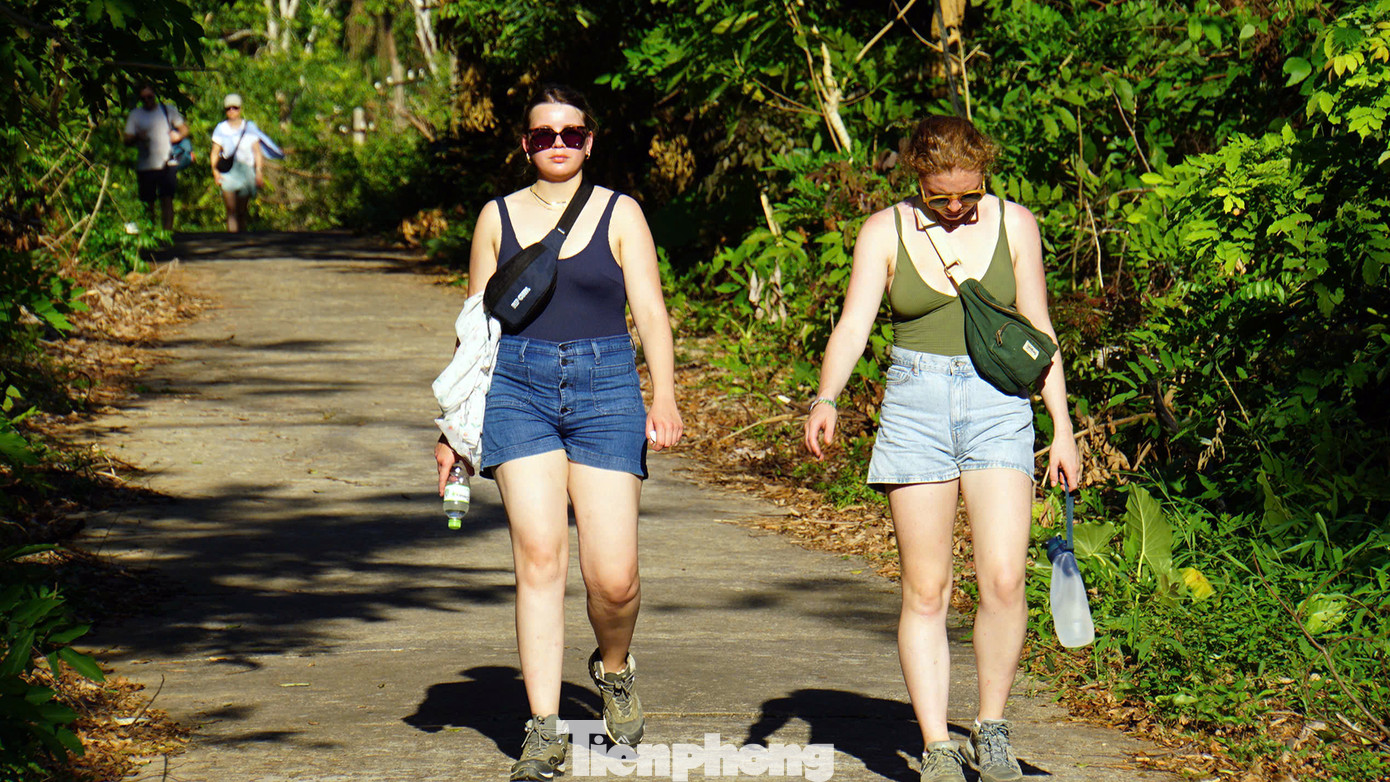 Theo Ban quản lý Vườn quốc gia Cát Bà, sau bão số 3 nhiều cánh rừng bị thiệt hại nặng nề về cảnh quan thiên nhiên, môi trường. Đầu mùa cao điểm du lịch Thu - Đông, lượng khách đến chạy bộ xuyên rừng có giảm so với cùng kỳ năm trước, song mỗi ngày hàng chục đến hàng trăm khách Tây đăng ký chạy bộ xuyên rừng là tín hiệu khả quan sau bão. Đơn vị đã huy động toàn bộ lực lượng kiểm lâm tuần tra, kiểm soát người dân và du khách để phòng chống cháy rừng và bảo vệ cảnh quan, môi trường.