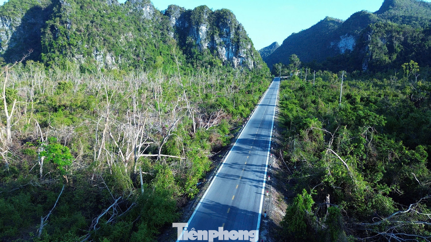 Hơn một tháng sau bão số 3, những cánh rừng trong Vườn quốc gia Cát Bà đã bắt đầu đâm chồi xanh trở lại. Tuy nhiên, những cây gỗ lớn đổ gãy, cành lá bị tuốt do bão vẫn hiển hiện những vết thương chưa lành.