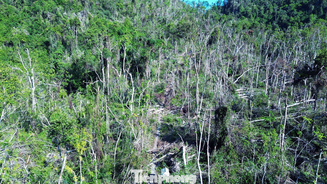 Khu vực Áng Rạng nằm trên tuyến đường Giáo dục môi trường - Du lịch sinh thái của vùng lõi Vườn quốc gia Cát Bà là một trong những khu vực chịu thiệt hại nặng nề nhất về cảnh quan, sinh thái, môi trường.