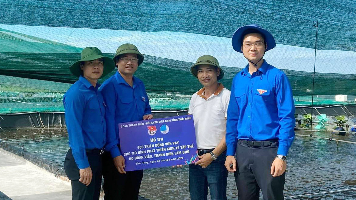 Các cấp Hội hỗ trợ đoàn viên thanh niên vay vốn phát triển kinh tế do đoàn viên thanh niên làm chủ. Các cấp Hội hỗ trợ đoàn viên thanh niên vay vốn phát triển kinh tế do đoàn viên thanh niên làm chủ.