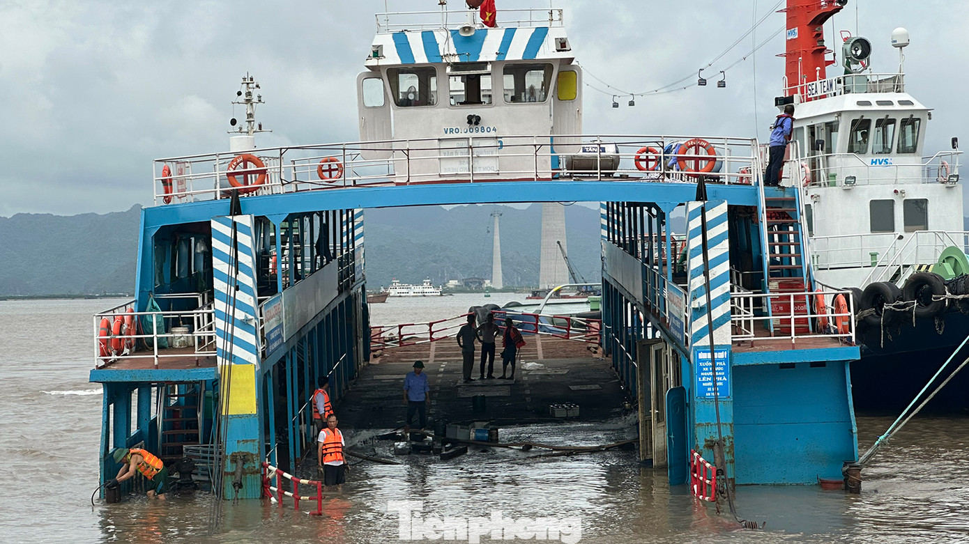 Ngay sau khi phát hiện sự cố, lực lượng vận hành bến phà Đồng Bài đã yêu cầu hành khách trở lại bến và khẩn trương thực hiện các biện pháp cứu hộ, khắc phục. Ngay sau khi phát hiện sự cố, lực lượng vận hành bến phà Đồng Bài đã yêu cầu hành khách trở lại bến và khẩn trương thực hiện các biện pháp cứu hộ, khắc phục.