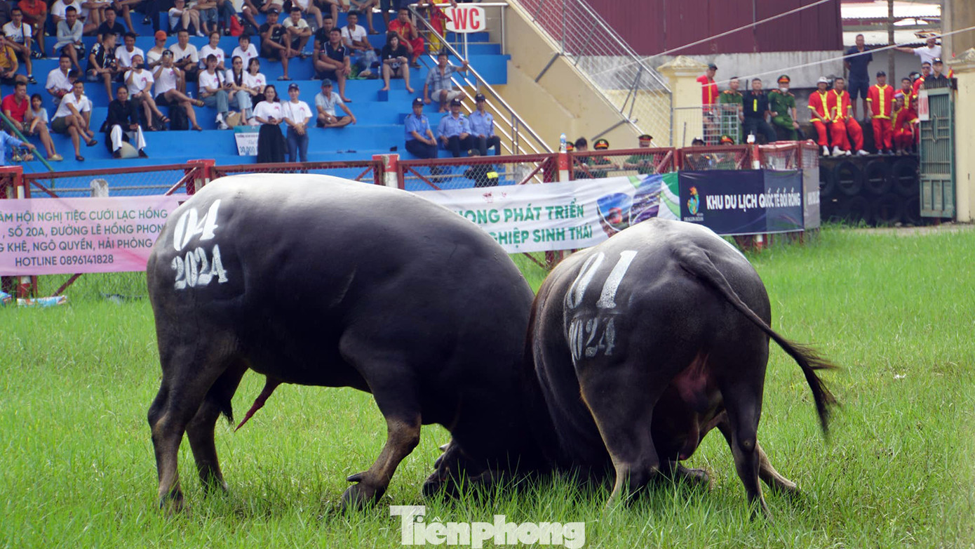 Hải Phòng, Hải Dương đều có nền văn hóa dân gian phong phú, đa dạng với nhiều điểm tương đồng.