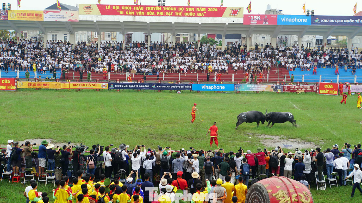 Sáng 21/9, UBND quận Đồ Sơn (Hải Phòng) tổ chức Lễ hội chọi trâu Đồ Sơn 2024 sau khi phải tạm hoãn 10 ngày do ảnh hưởng bởi cơn bão số 3.