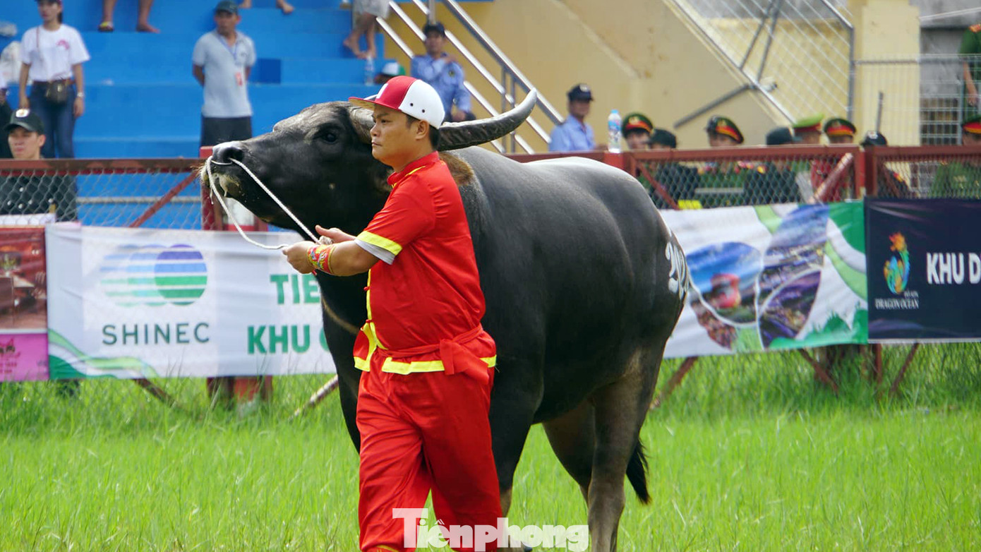 Lễ hội chọi trâu Đồ Sơn 2024 với sự tham gia của 16 ông trâu, thuộc 6 phường trên địa bàn. Chủ có trâu đạt giải nhất được thưởng 100 triệu đồng, giải nhì là 60 triệu đồng, giải ba 30 triệu đồng.