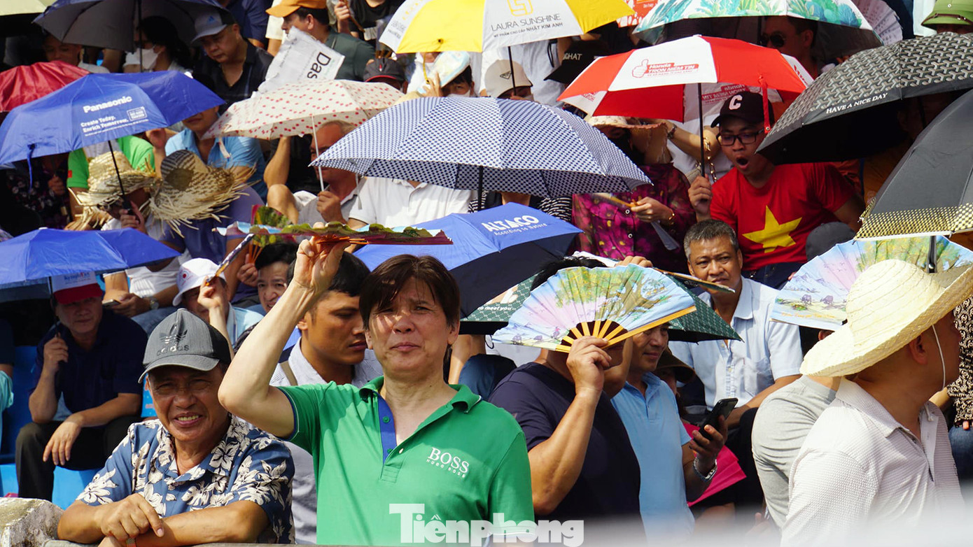 Không chỉ các khán giả nam, rất nhiều phụ nữ rất hào hứng tới cổ vũ, xem trâu chọi.
