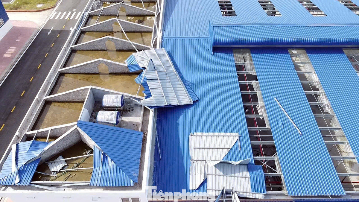 Các tòa nhà thấp tầng như: nhà xưởng thực hành, cơ khí, công nghệ,... bị lật tung khung thép, mái tôn.