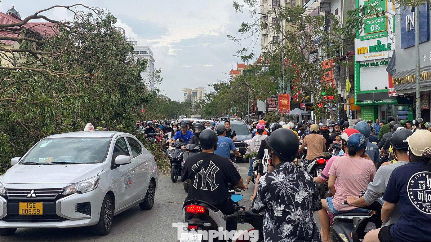 Sáng 9/9, sau hai ngày cơn bão số 3 đổ bộ, càn quét qua thành phố Hải Phòng, nhiều tuyến phố, trục đường chính vào trung tâm thành phố vẫn ngổn ngang cây xanh đổ gãy.