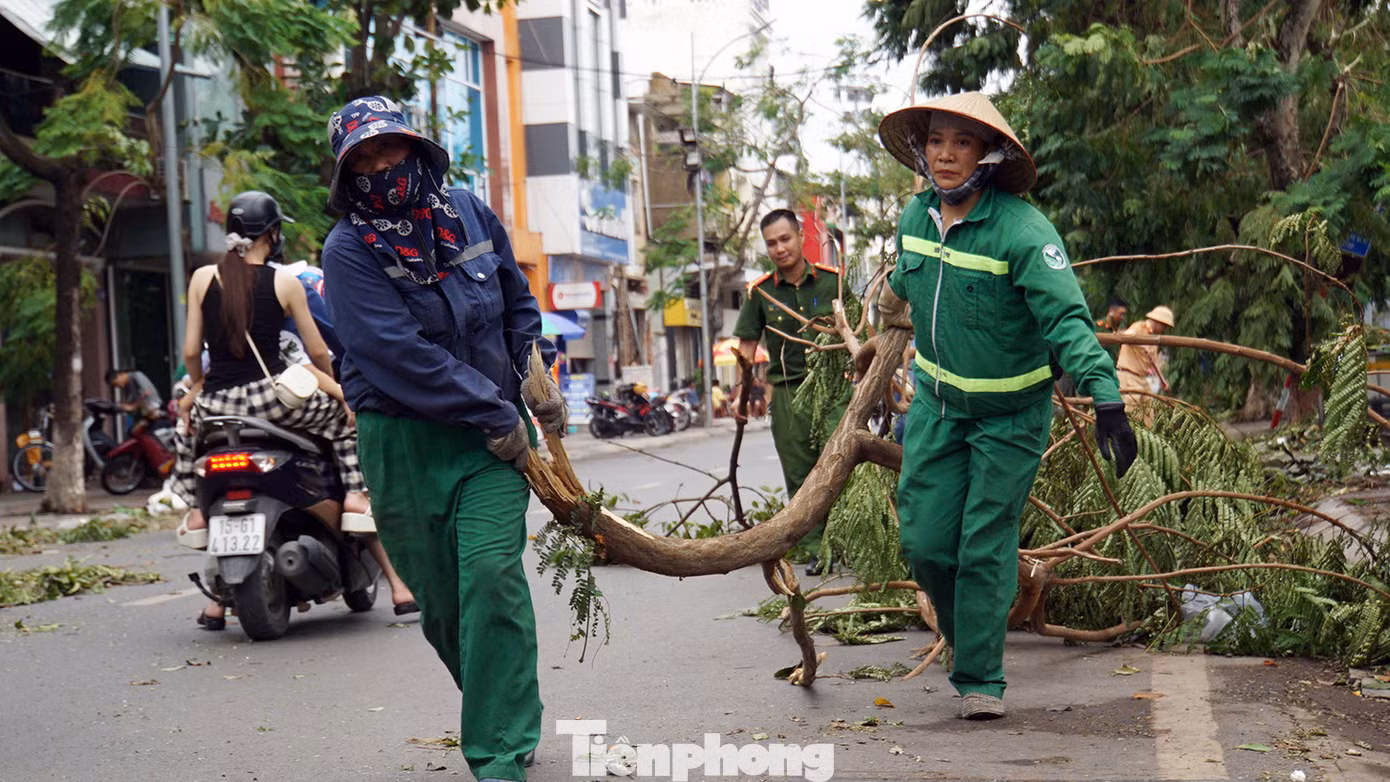Xử lý cây gãy đổ trên đường phố. Ảnh: Nguyễn Hoàn.