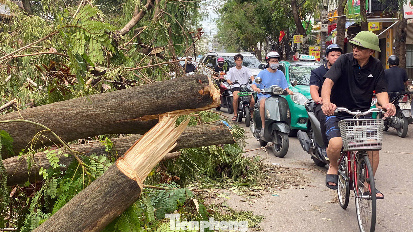 Xử lý cây gãy đổ trên đường phố. Ảnh: Nguyễn Hoàn.