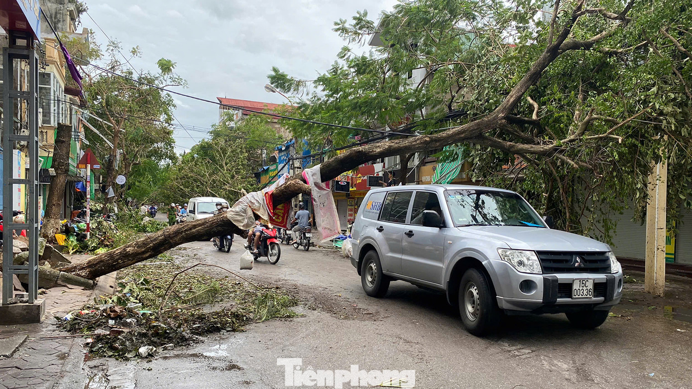 Còn tại phố Nguyễn Bình, nhiều cây xanh chắn ngang đường vắt lên mái nhà dân.