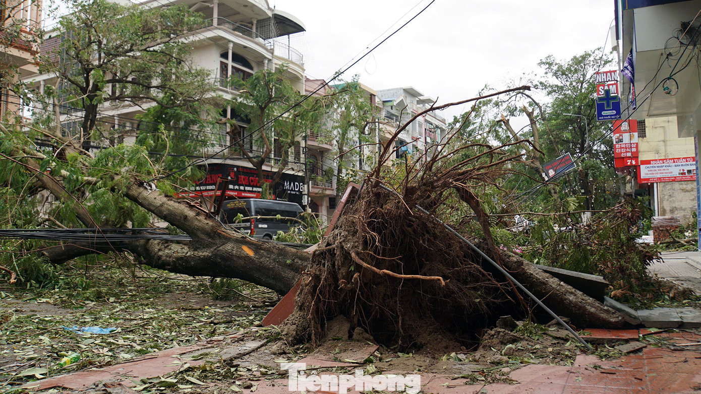 Tuyến phố Văn Cao dài khoảng 700m nhưng đây là tuyến phố tập trung nhiều chuyên gia, người nước ngoài ở nên còn được gọi là phố Tây Hải Phòng.