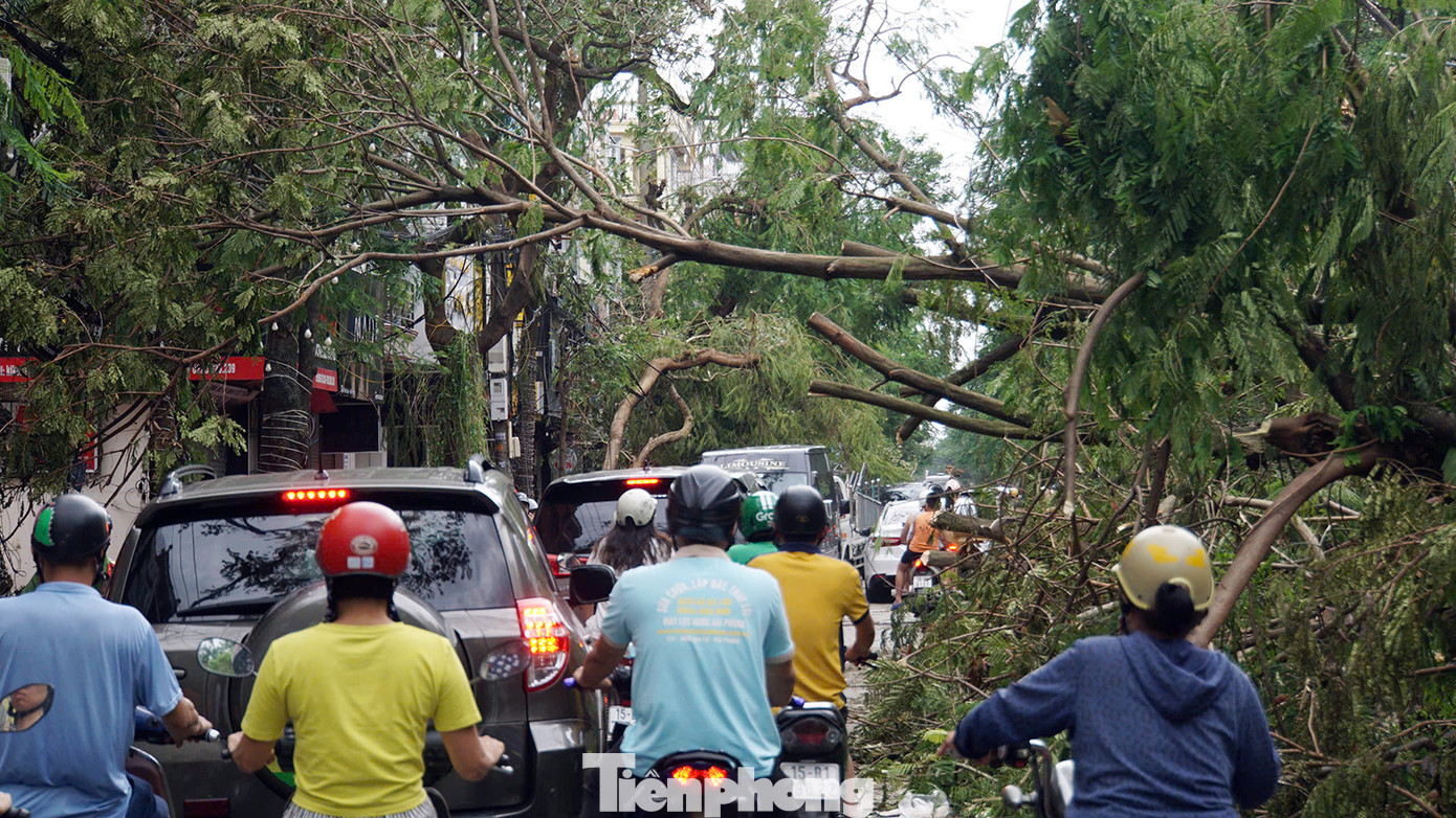 Dù là tuyến phố lớn, trung tâm nhưng do cây đổ la liệt nên chỉ một làn ô tô cùng xe máy có thể di chuyển qua khiến tuyến phố này luôn kẹt cứng.