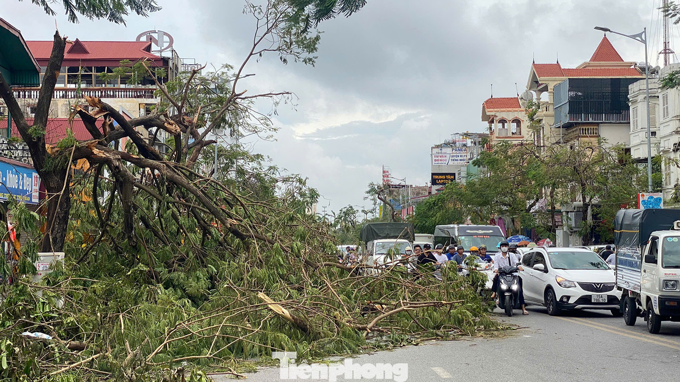 Ghi nhận của PV Tiền Phong, tại khu vực sân vận động Lạch Tray, nhiều cây xanh hàng chục năm tuổi, cao hàng chục mét bật gốc, đổ gãy chắn ngang 1/2 đường Lạch Tray khiến các phương tiện di chuyển rất khó khăn.