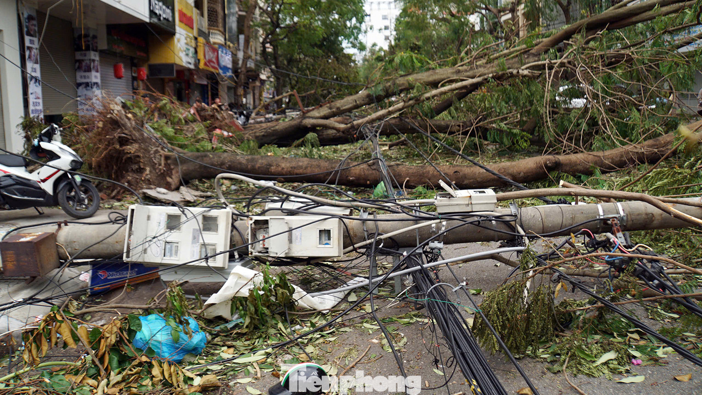 Gần 1,9 triệu cây xanh, cây hoa, khoảng 82.000 cây xanh đô thị đổ gãy tại Hải Phòng. Gần 1,9 triệu cây xanh, cây hoa, khoảng 82.000 cây xanh đô thị đổ gãy tại Hải Phòng.