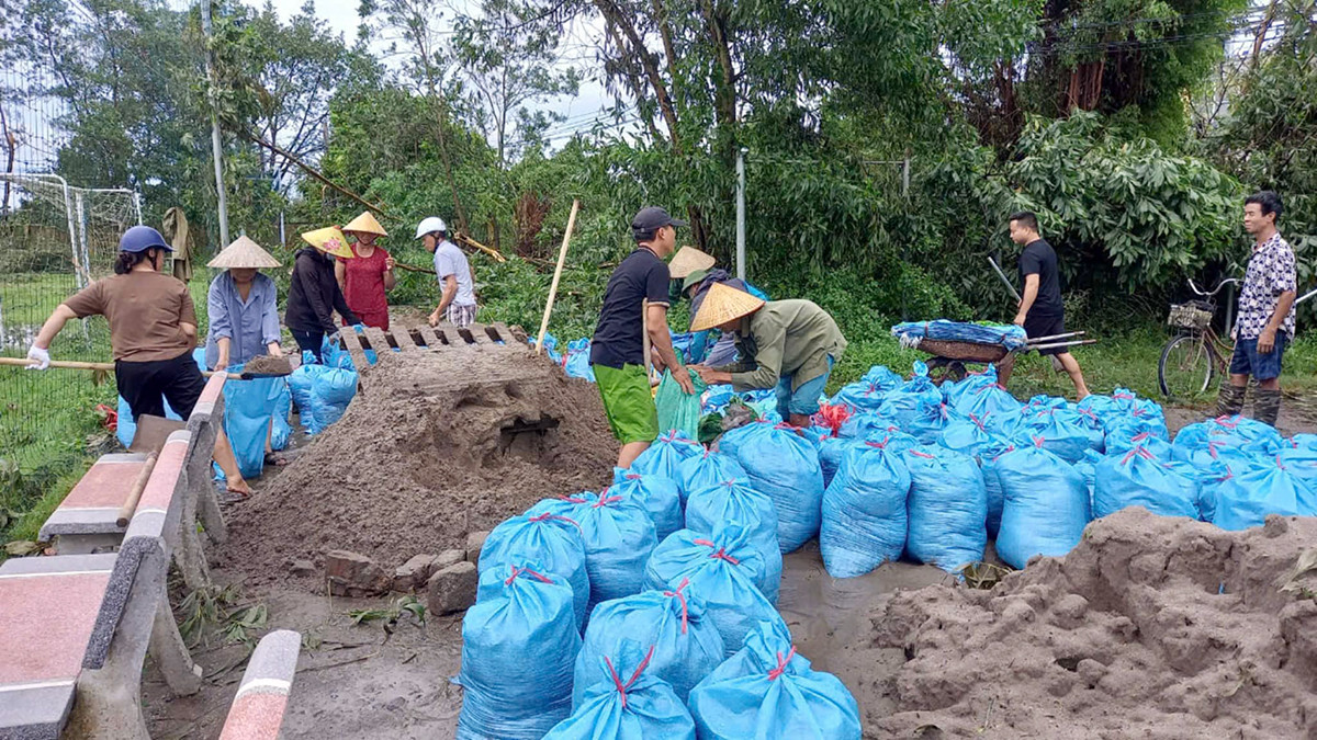 Trước diễn biến mưa lũ phức tạp, tại hệ thống các sông vượt mức báo động 3, Ban Chỉ huy PCTT&amp;TKCN tỉnh Hải Dương đã huy động lực lượng quân đội, công an, dân quân tự vệ, đoàn thanh niên tăng cường hỗ trợ các huyện/thị/thành trên địa bàn khắc phục hậu quả bão số 3, ứng phó với lũ lụt, đặc biệt tại các khu vực đê trọng yếu.