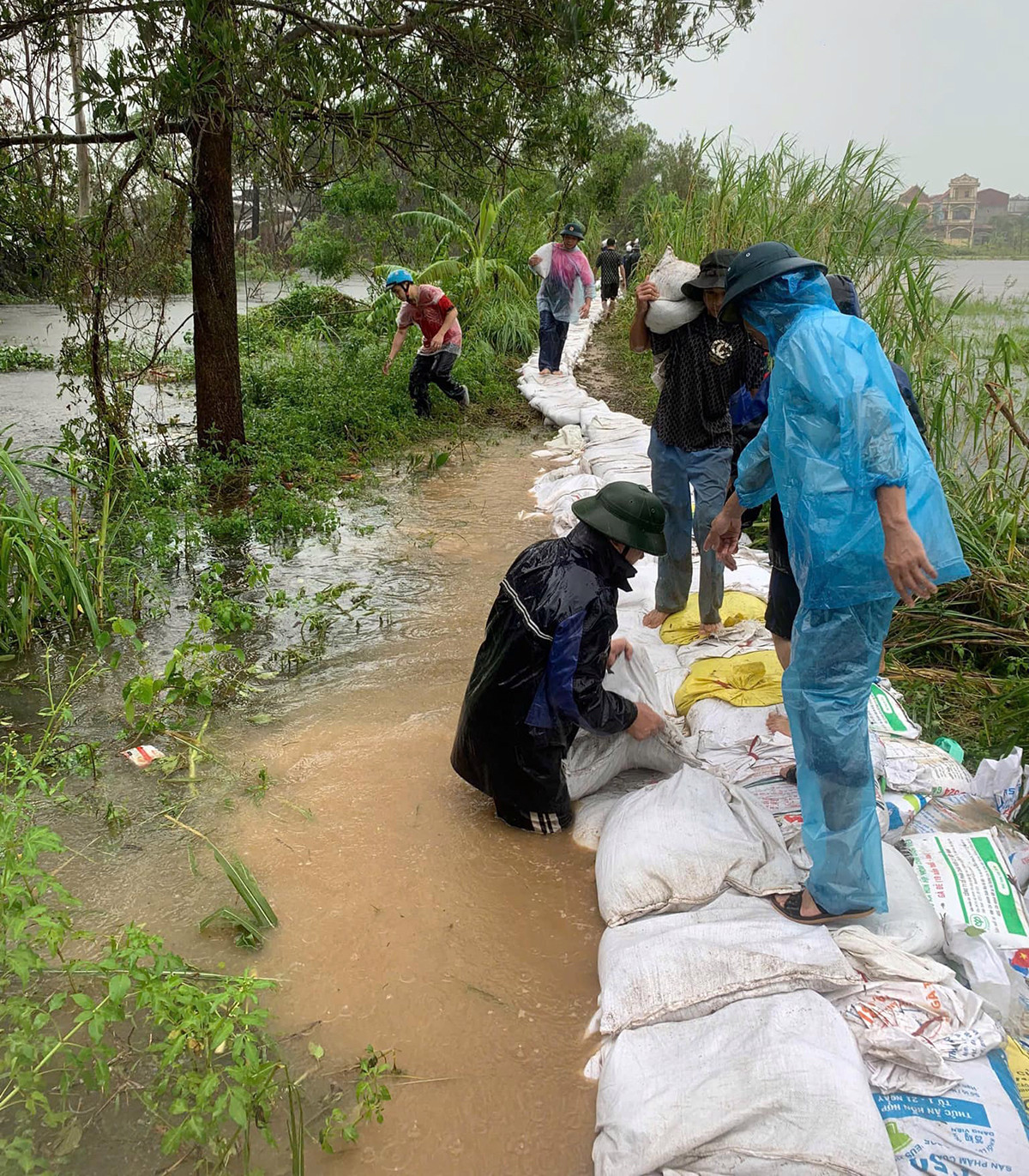 Lực lượng chức năng tỉnh Hải Dương đắp đê chống lụt, tràn bờ tại các khu vực đê sông, hệ thống thủy lợi.