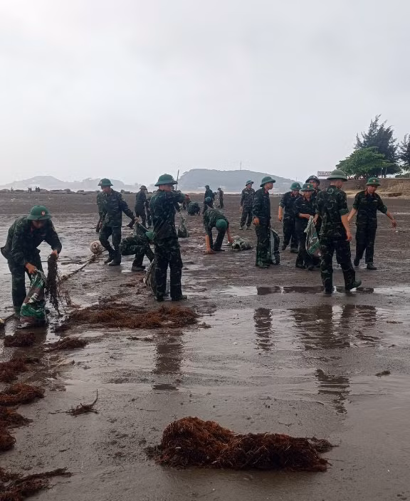 Theo ông Tuấn, những ngày qua nước sông khi đổ ra biển mang theo nhiều rác, chủ yếu là bèo tây. Thủy triều lên kết hợp với sóng lớn đẩy rác này dạt vào các bãi tắm. Bên cạnh đó, những ngày này có cả trăm tấn rong biển trôi dạt vào bờ khiến lượng rác càng lớn.