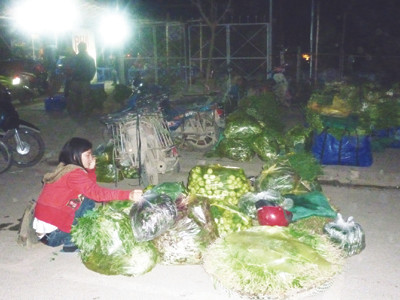 Nhiều tuần nay, chị Chu Ánh Tuyết (Nhổn, Cầu Diễn) dậy từ nửa đêm ra chợ đầu mối mua rau cho rẻ