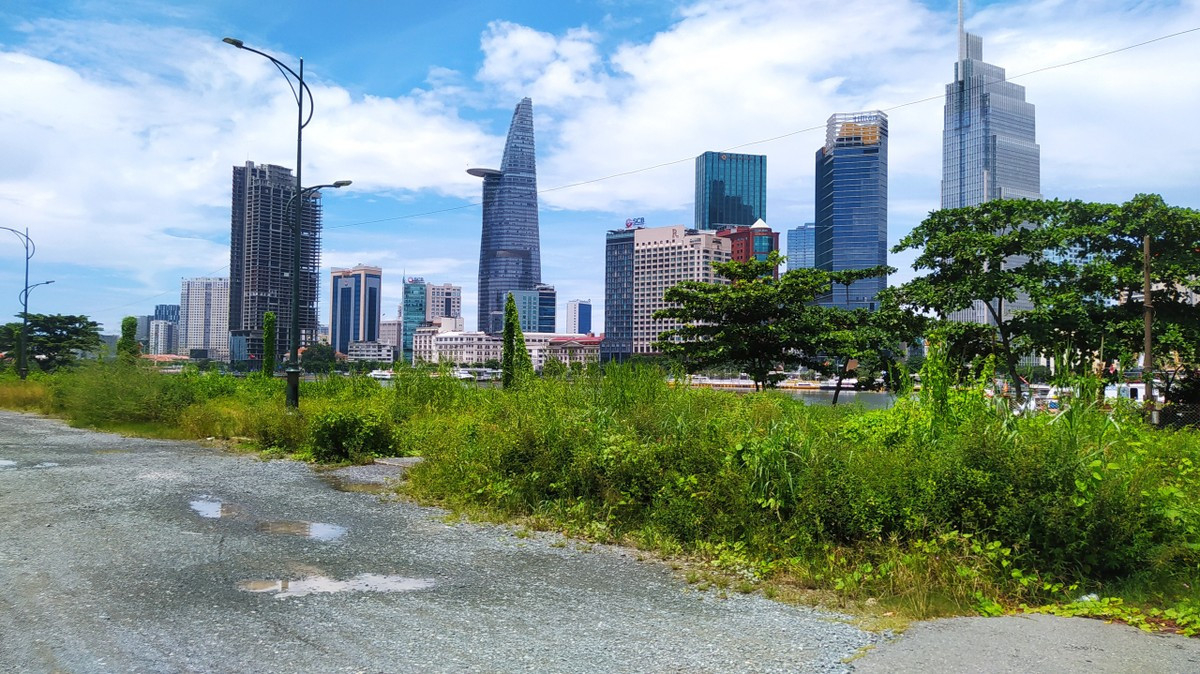 Sở QH-KT cho biết sẽ phát quang, làm sạch vệ sinh trên toàn tuyến. Ảnh N.QUỲNH - N. NGỌC Sở QH-KT cho biết sẽ phát quang, làm sạch vệ sinh trên toàn tuyến. Ảnh N.QUỲNH - N. NGỌC