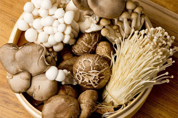 Những chất từ nấm có thể làm giảm nồng độ lipid trong máu và tăng cường tính đàn hồi của thành mạch máu, có thể giúp ngăn ngừa một số bệnh về mạch máu. Ảnh minh họa: Internet