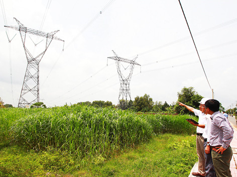 Đoạn đường dây 500kV bị cắt tại huyện Củ Chi (TPHCM). Ảnh: Nam Hà