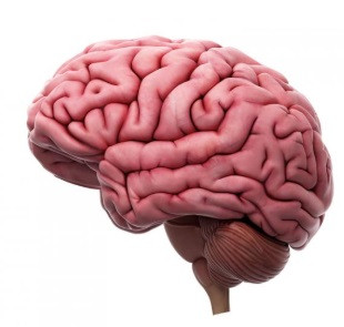 5 phương pháp phẫu thuật đáng kinh ngạc nhất thế giới ảnh 3