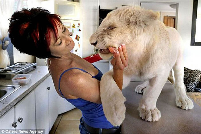 Sự gần gũi với con người đã làm mất đi bản năng săn mồi khát máu của con vật