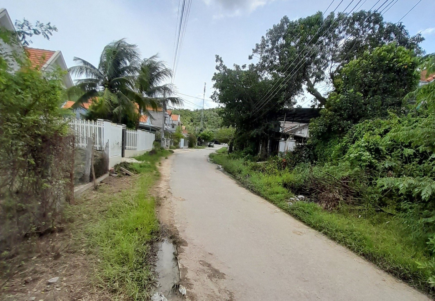 UBND thị xã Ninh Hoà đã yêu cầu kiểm điểm chủ đầu tư dự án đường Minh Mạng giai đoạn 2. UBND thị xã Ninh Hoà đã yêu cầu kiểm điểm chủ đầu tư dự án đường Minh Mạng giai đoạn 2.