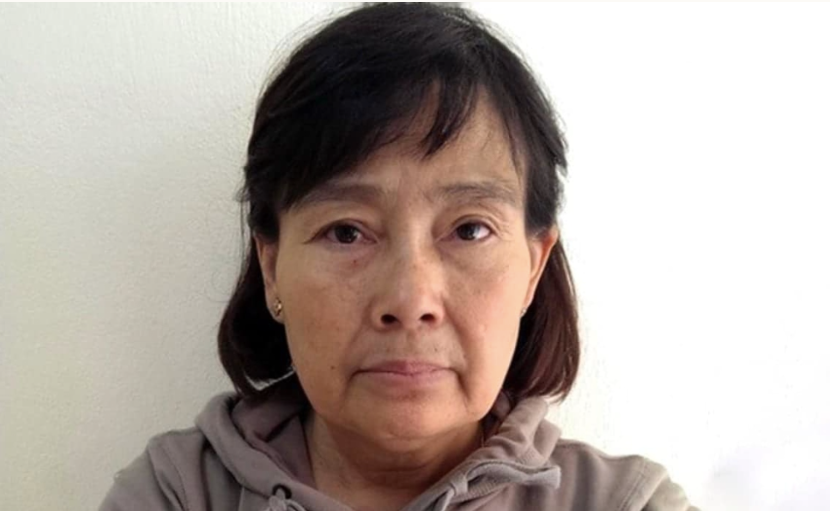 Bị can Vũ Hoàng Oanh (Oanh Hà) Bị can Vũ Hoàng Oanh (Oanh Hà)