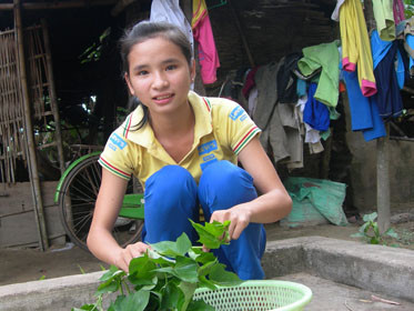 Trương Thị Bích nhặt rau lo bữa tối cho các em trước căn nhà tạm lụp xụp 