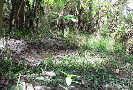 Chiếc hố nơi nghịch tử Triều chôn xác mẹ. Chiếc hố nơi nghịch tử Triều chôn xác mẹ