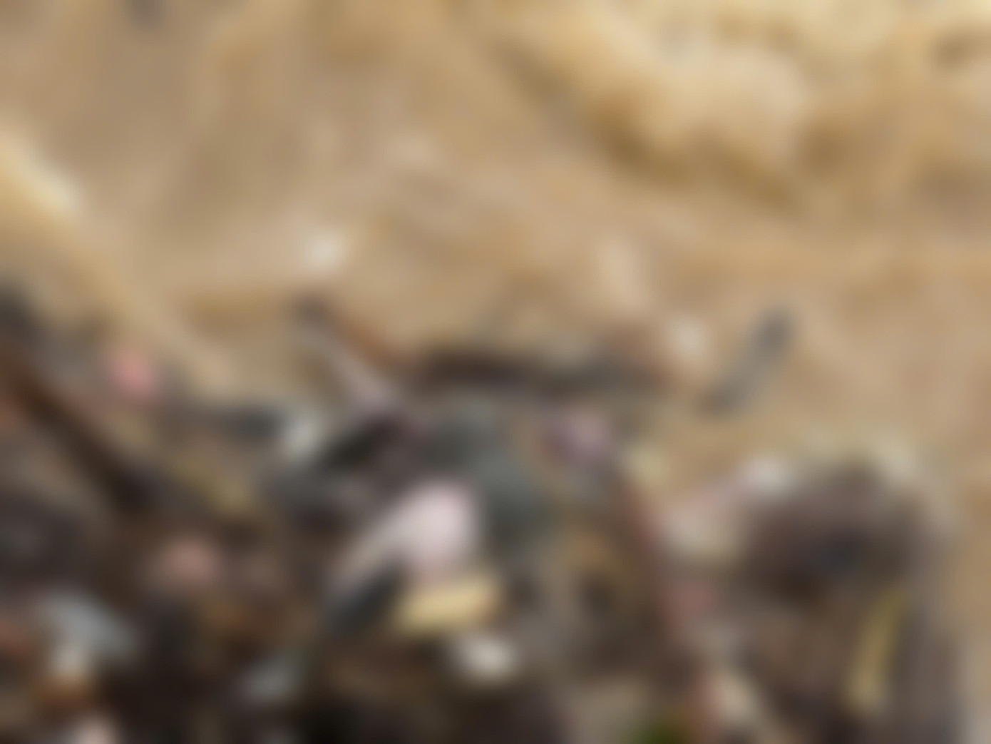 Nạn nhân nổi trên dòng nước (ảnh đã được làm mờ). Nạn nhân nổi trên dòng nước (ảnh đã được làm mờ).