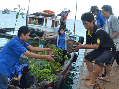 Đưa cây xanh từ đất liền ra đảo Cù Lao Xanh. Ảnh: Việt Hương