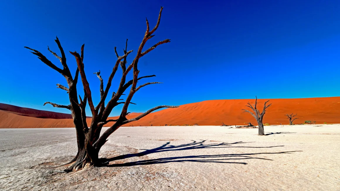Dead Vlei - một trong các địa điểm hấp dẫn nhất ở Namibia, được mệnh danh là đầm lầy chết vì nằm giữa những cồn cát cao nhất thế giới. CNN cho biết, biến đổi khí hậu đã gây nên thời tiết khô hanh khiến các loài cây ở Dead Vlei không thể phân hủy, tạo nên một cảnh quan thực sự kỳ lạ. Ảnh: AP. Dead Vlei - một trong các địa điểm hấp dẫn nhất ở Namibia, được mệnh danh là đầm lầy chết vì nằm giữa những cồn cát cao nhất thế giới. CNN cho biết, biến đổi khí hậu đã gây nên thời tiết khô hanh khiến các loài cây ở Dead Vlei không thể phân hủy, tạo nên một cảnh quan thực sự kỳ lạ. Ảnh: AP.