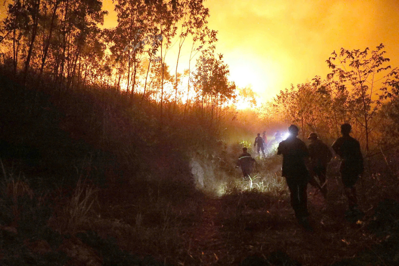 Như VietNamNet đã đưa tin, vụ cháy rừng tại thôn Lục Liễu, xã Đạo Trù xảy ra từ chiều 15/4. Đến 22h, ngọn lửa bùng phát mạnh và lan rộng sang địa phận rừng phòng hộ thôn Đồng Cà, xã Bồ Lý. Ảnh: X.B