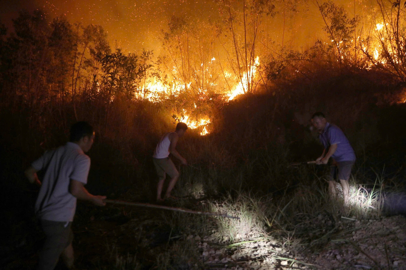 Ngay sau khi xảy vụ cháy, lực lượng chức năng đã có mặt tại hiện trường cùng người dân các xã lân cận để khoanh vùng chữa cháy. Đã có gần 800 người cùng phương tiện tham gia. Ảnh: X.B