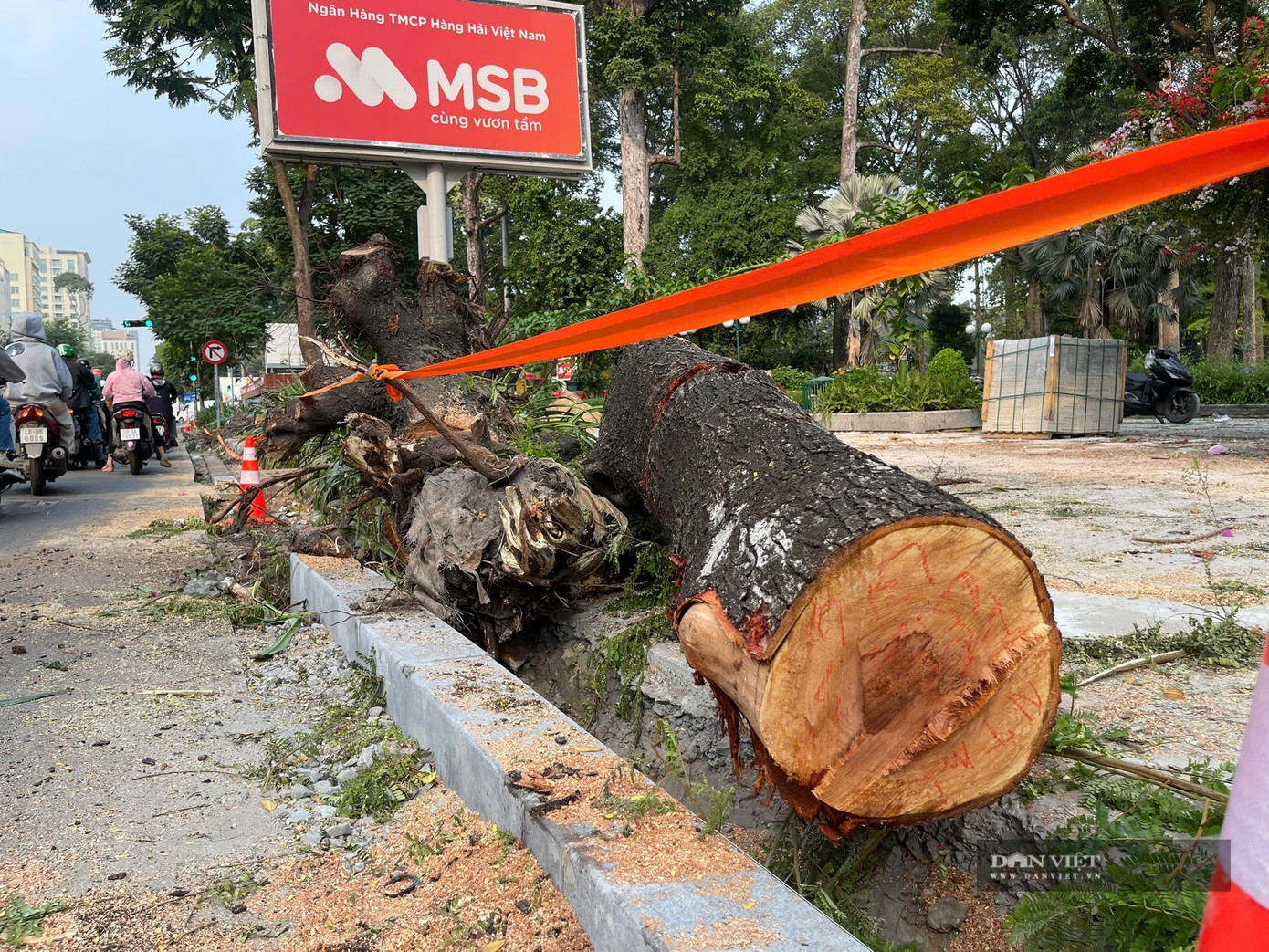 Loạt cây xanh trên đường Nguyễn Thị Minh Khai, quận 1, TP.HCM bị đốn hạ do thi công vỉa hè. Ảnh: D.B Loạt cây xanh trên đường Nguyễn Thị Minh Khai, quận 1, TP.HCM bị đốn hạ do thi công vỉa hè. Ảnh: D.B