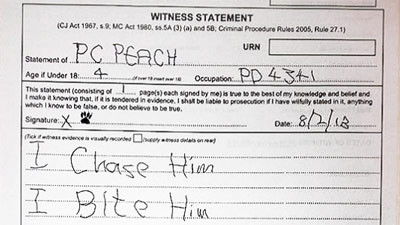 Tờ khai của chú chó PC Peach. Tờ khai của chú chó PC Peach