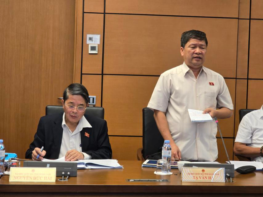 Đại biểu Tạ Văn Hạ (Quảng Nam) phát biểu tại phiên thảo luận.