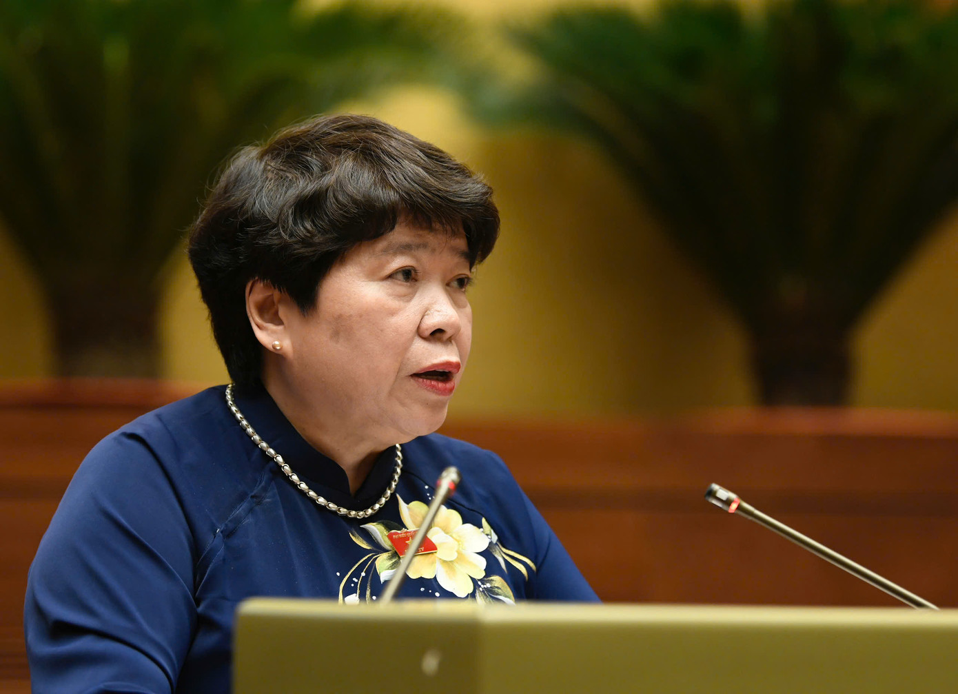 Chủ nhiệm Ủy ban Xã hội của Quốc hội Nguyễn Thúy Anh. Ảnh: Như Ý