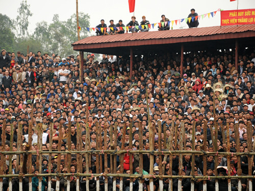 Hay ngay cả trên khán đài - nơi ban tổ chức ngồi dưới