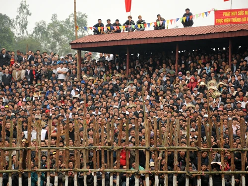 Hay ngay cả trên khán đài - nơi ban tổ chức ngồi dưới