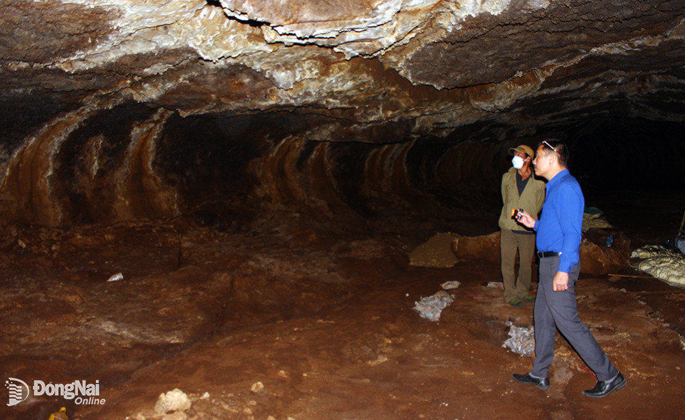 Bên trong hang Dơi, địa phận xã Phú Tân, H.Định Quán. Ảnh: H.Lộc Bên trong hang Dơi, địa phận xã Phú Tân, H.Định Quán. Ảnh: H.Lộc
