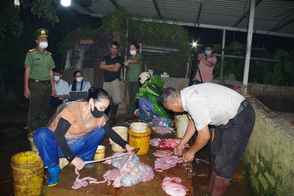 Cơ quan chức năng phát hiện lò mổ với gần 3 tấn thịt nhiễm virus dịch tả lợn châu Phi.