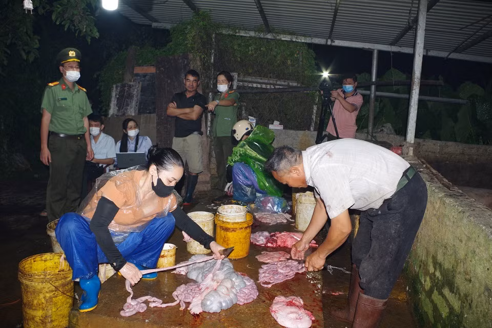 Cơ quan chức năng phát hiện lò mổ với gần 3 tấn thịt nhiễm virus dịch tả lợn châu Phi.