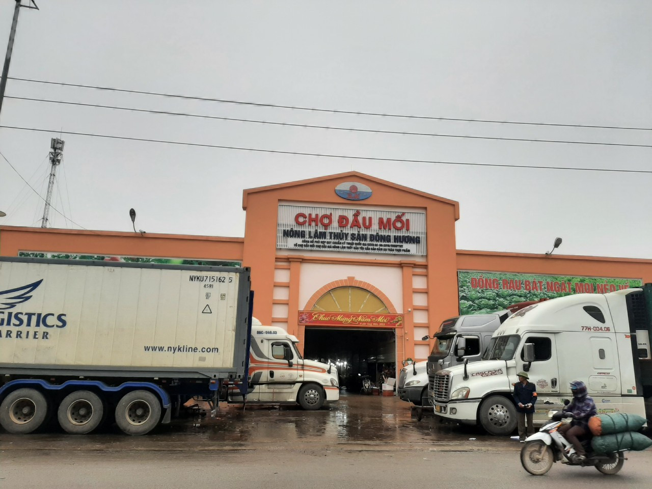 Chợ đầu mối lớn nhất Thanh Hoá Chợ đầu mối lớn nhất Thanh Hoá