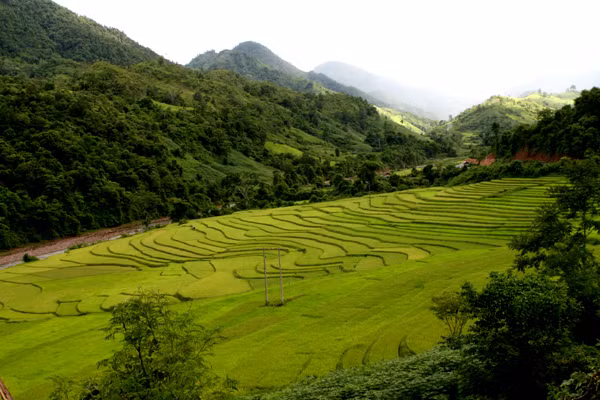 Những cánh đồng ruộng bậc thang đẹp như tranh vẽ