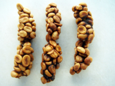 Những cục cà phê phân chồn. Những cục cà phê phân chồn