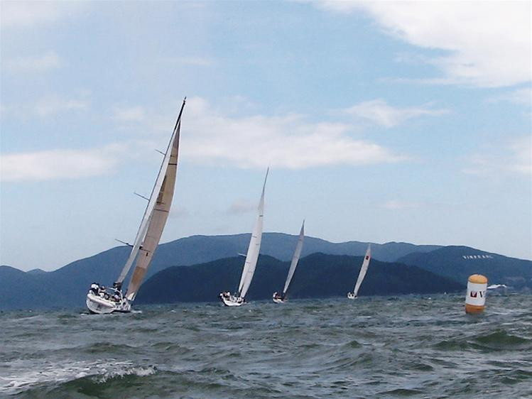 Các thuyền tạo thành hàng dọc.