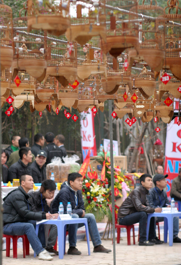 Trọng tài ngồi đếm số lần chim 'mỏ'